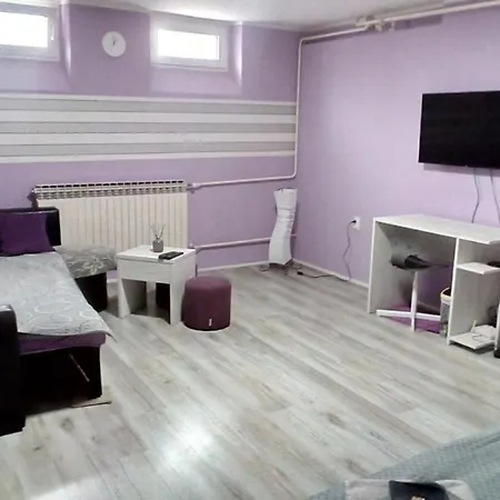Apartment Stan Na Dan Bor
